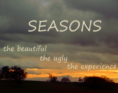 SeasonsWidgetGrey&Sunset_4269 copy